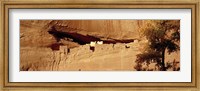 Framed Tree in front of the ruins of cliff dwellings, White House Ruins, Canyon de Chelly National Monument, Arizona, USA