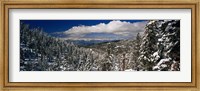 Framed Snow covered pine trees in a forest with a lake in the background, Lake Tahoe, California, USA