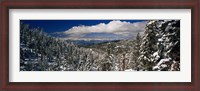 Framed Snow covered pine trees in a forest with a lake in the background, Lake Tahoe, California, USA