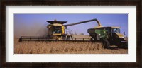 Framed Combine harvesting soybeans in a field, Minnesota