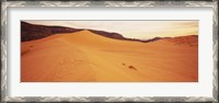 Framed Sand dunes in a desert, Coral Pink Sand Dunes State Park, Utah, USA