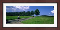 Framed Rear view of a person riding a bicycle on the road, Black Forest, Germany