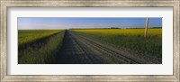 Framed Country Road in Millet, Canada