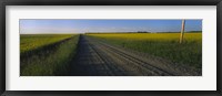 Framed Country Road in Millet, Canada