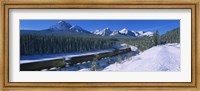 Framed Train Traveling through Banff National Park