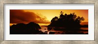 Framed Silhouette of rocks and trees at sunset, Tofino, Vancouver Island, British Columbia, Canada