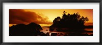 Framed Silhouette of rocks and trees at sunset, Tofino, Vancouver Island, British Columbia, Canada