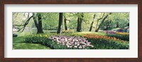 Framed Flowers in a garden, Keukenhof Gardens, Netherlands