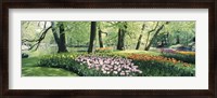 Framed Flowers in a garden, Keukenhof Gardens, Netherlands