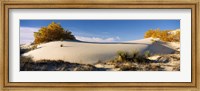 Framed Desert plants in White Sands National Monument, New Mexico