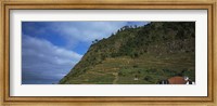 Framed Low angle view of terraced fields on a mountain, Ponta Delgada, Madeira, Portugal