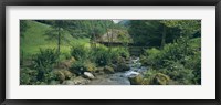 Framed River flowing through forest, Black Forest, Glottertal, Germany