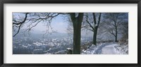Framed Trees along a snow covered road, Freiburg Im Breisgau, Breisgau, Baden-Wurttemberg, Germany