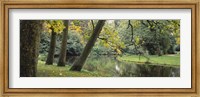 Framed Trees near a pond in a park, Vondelpark, Amsterdam, Netherlands