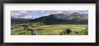 Framed High angle view of a field with mountains in the background, Hanalei Valley, Kauai, Hawaii, USA