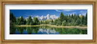 Framed Reflection of trees in water with mountains, Schwabachers Landing, Grand Teton, Grand Teton National Park, Wyoming, USA