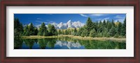 Framed Reflection of trees in water with mountains, Schwabachers Landing, Grand Teton, Grand Teton National Park, Wyoming, USA