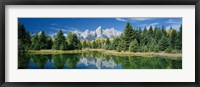 Framed Reflection of trees in water with mountains, Schwabachers Landing, Grand Teton, Grand Teton National Park, Wyoming, USA