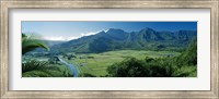 Framed High angle view of taro fields, Hanalei Valley, Kauai, Hawaii, USA