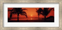 Framed Silhouette of palm trees on the beach at dusk, Lydgate Park, Kauai, Hawaii, USA