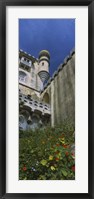 Framed Low angle view of a palace, Palacio De Pina, Sintra, Estremadura, Portugal