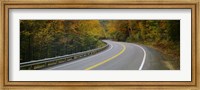Framed Road passing through a forest, Winding Road, New Hampshire, USA