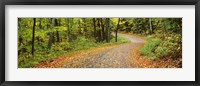 Framed Road passing through a forest, Country Road, Peacham, Caledonia County, Vermont, USA
