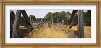 Framed Ranch cattle chute in a field, North Dakota, USA