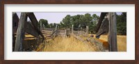 Framed Ranch cattle chute in a field, North Dakota, USA