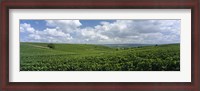 Framed Clouds over vineyards, Mainz, Rhineland-Palatinate, Germany