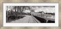 Framed Park near a pool in a city, Parque De La Buhaira, Sevilla, Seville Province, Andalusia, Spain