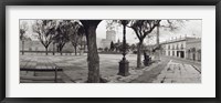 Framed Trees in front of a building, Alameda Vieja, Jerez, Cadiz, Spain