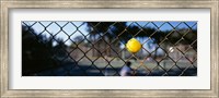Framed Close-up of a tennis ball stuck in a fence, San Francisco, California, USA