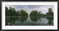 Framed Reflection of trees in a pond, Versailles, Paris, Ile-De-France, France