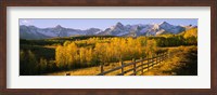Framed Trees in a field near a wooden fence, Dallas Divide, San Juan Mountains, Colorado