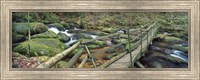 Framed Leap of Faith broken bridge, Becky Brook, Becky Falls, Bovey Tracey, Dartmoor National Park, Devon, England