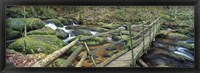 Framed Leap of Faith broken bridge, Becky Brook, Becky Falls, Bovey Tracey, Dartmoor National Park, Devon, England