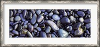 Framed Close-up of pebbles, Sandymouth Beach, Cornwall, England