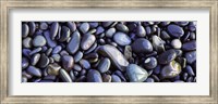 Framed Close-up of pebbles, Sandymouth Beach, Cornwall, England