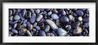 Framed Close-up of pebbles, Sandymouth Beach, Cornwall, England