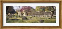Framed Ruins of a building, Ancient Olympia, Peloponnese, Greece