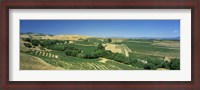 Framed Carneros District, Napa Valley, Napa County, California