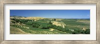 Framed Carneros District, Napa Valley, Napa County, California