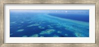 Framed Coral reef in the sea, Belize Barrier Reef, Ambergris Caye, Caribbean Sea, Belize