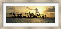 Framed Silhouette of palm trees on an island at sunset, Laughing Bird Caye, Victoria Channel, Belize