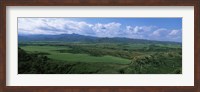 Framed High angle view of sugar cane fields, Cienfuegos, Cienfuegos Province, Cuba