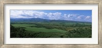 Framed High angle view of sugar cane fields, Cienfuegos, Cienfuegos Province, Cuba