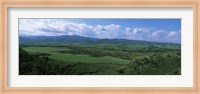 Framed High angle view of sugar cane fields, Cienfuegos, Cienfuegos Province, Cuba