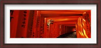 Framed Torii gates of a shrine, Fushimi Inari-Taisha, Fushimi Ward, Kyoto, Kyoto Prefecture, Kinki Region, Honshu, Japan