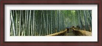 Framed Stepped walkway passing through a bamboo forest, Arashiyama, Kyoto Prefecture, Kinki Region, Honshu, Japan